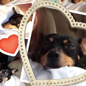 Meet your Posher, Janie